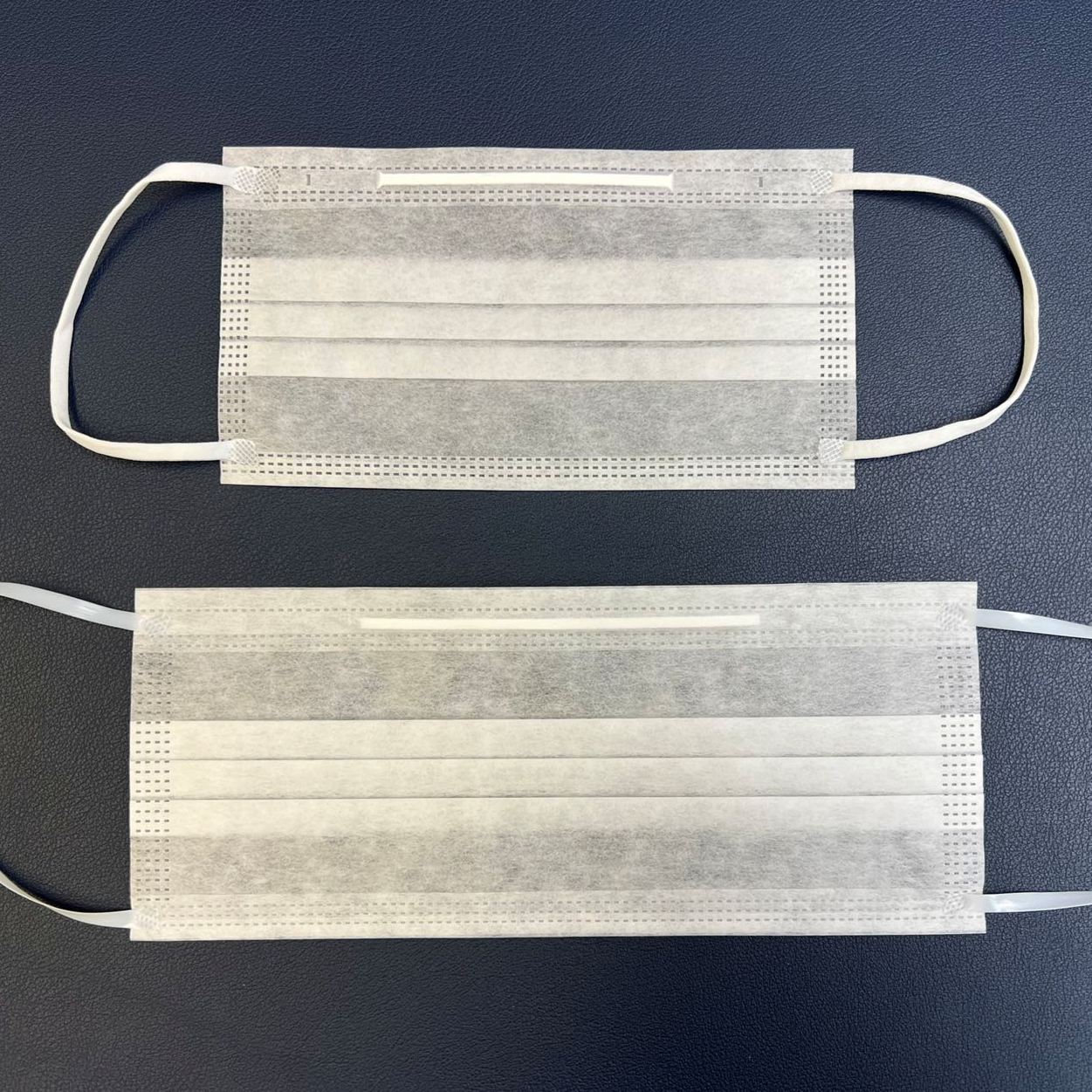 Disposable 2-Ply Ear Loop Cleanroom Face Mask
